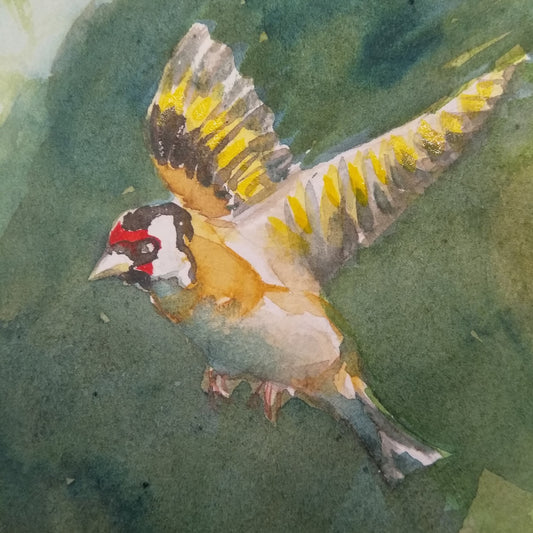 8 x Greetings cards: Goldfinch